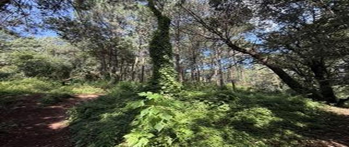 Foto de terreno habitacional en venta en  , san antonio, valle de bravo, méxico, 0 No. 05