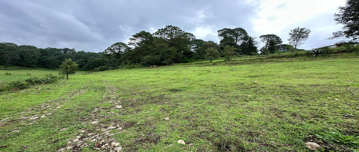 Foto de terreno habitacional en , san antonio, valle de bravo, méxico, 0 foto 03 Foto de terreno habitacional en venta en , san antonio, valle de bravo, méxico, 0 No. 03