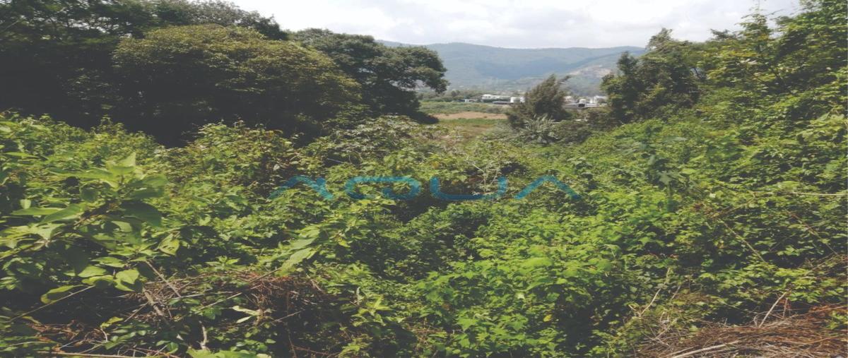 Foto de terreno habitacional en venta en san antonio , valle de bravo, valle de bravo, méxico, 26958417 No. 05