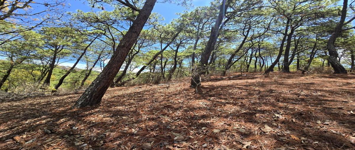 Foto de terreno habitacional en venta en san antonio , valle de bravo, valle de bravo, méxico, 0 No. 04