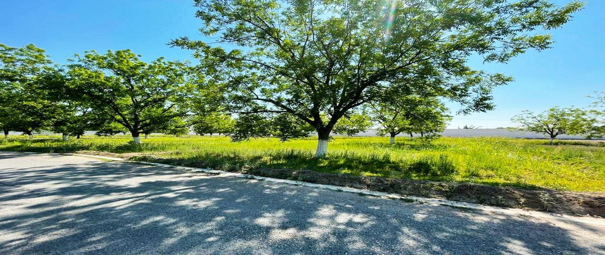 Foto de terreno habitacional en venta en san armando , san armando, torreón, coahuila de zaragoza, 24903694 No. 03