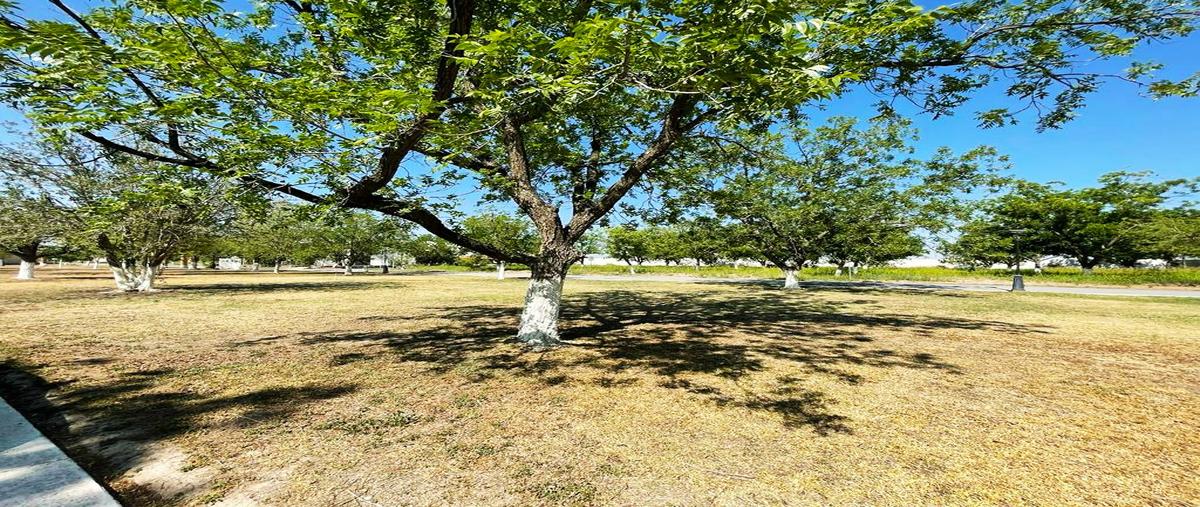 Foto de terreno habitacional en venta en san armando , san armando, torreón, coahuila de zaragoza, 24903694 No. 05