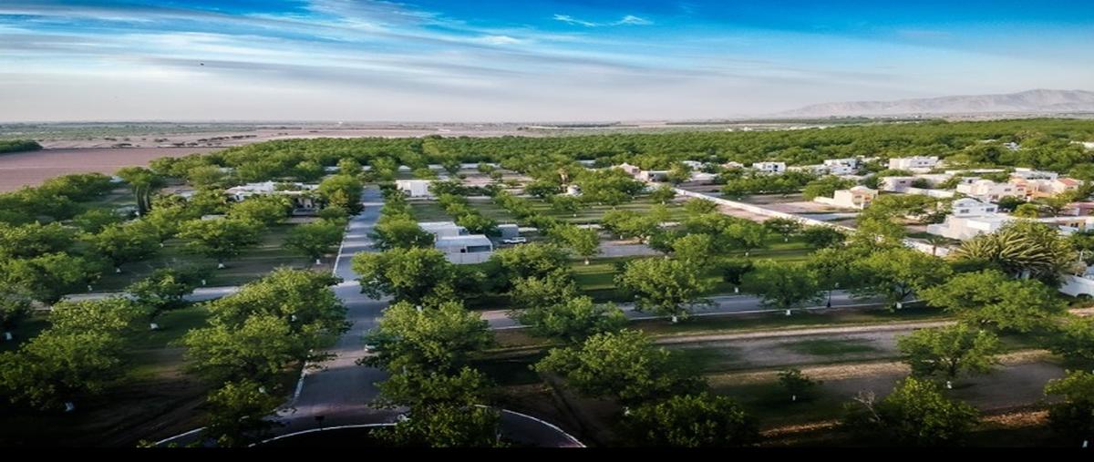 Foto de terreno habitacional en venta en san armando , san armando, torreón, coahuila de zaragoza, 26861075 No. 04