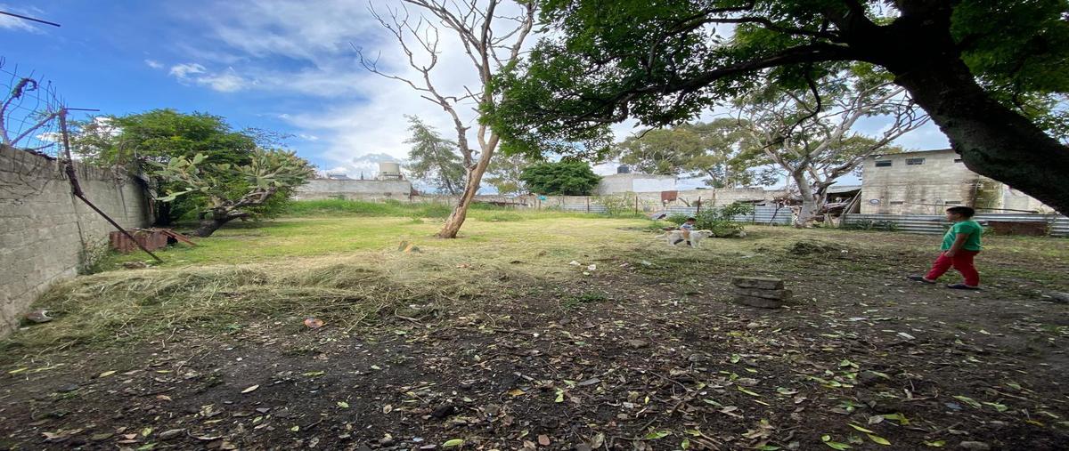 Foto de terreno habitacional en venta en  , san baltazar tetela, puebla, puebla, 0 No. 03