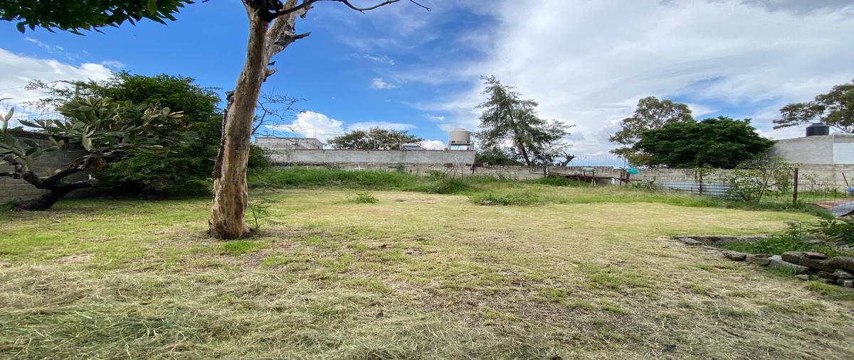 Foto de terreno habitacional en venta en  , san baltazar tetela, puebla, puebla, 0 No. 04