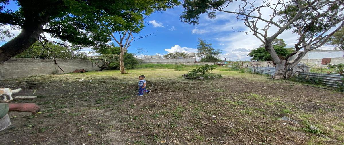 Foto de terreno habitacional en venta en  , san baltazar tetela, puebla, puebla, 0 No. 05