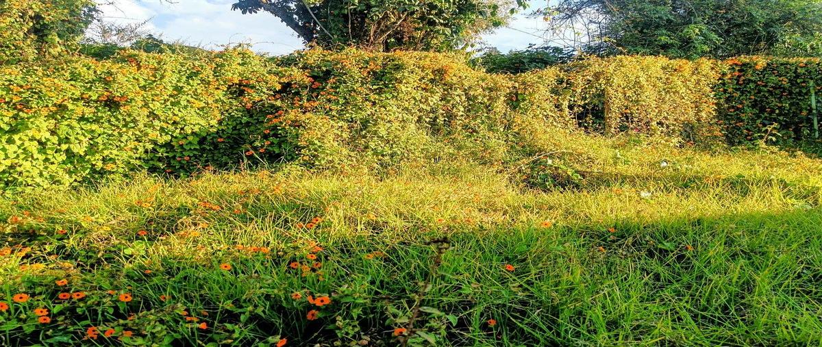 Foto de terreno habitacional en venta en san bar , san bartolo, amanalco, méxico, 0 No. 03