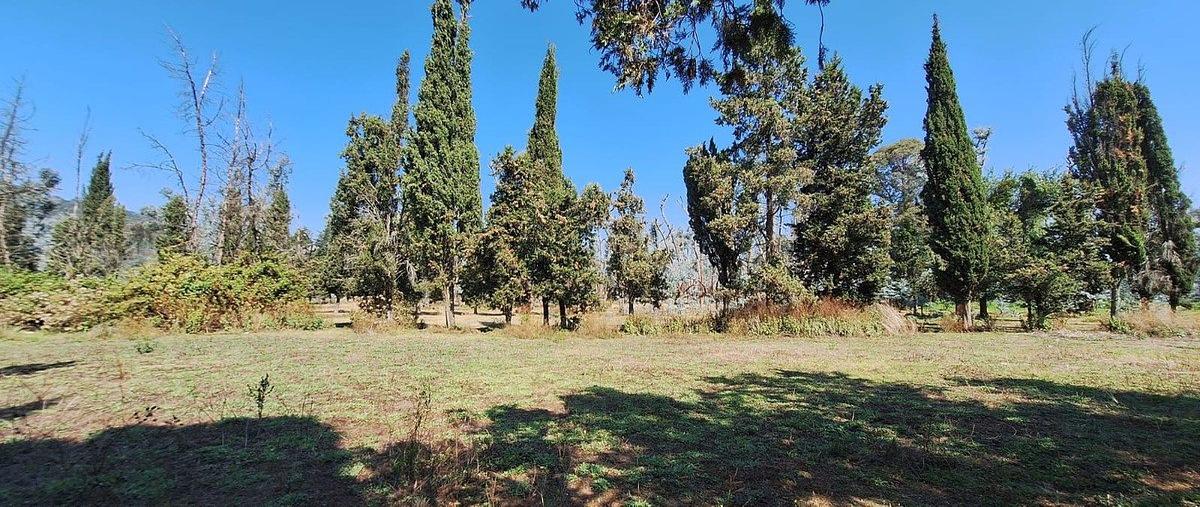 Foto de terreno habitacional en venta en san bar , san bartolo, amanalco, méxico, 0 No. 03