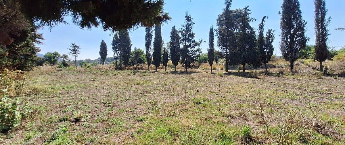 Foto de terreno habitacional en venta en san bar , san bartolo, amanalco, méxico, 0 No. 04