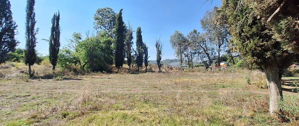 Foto de terreno habitacional en venta en san bar , san bartolo, amanalco, méxico, 0 No. 05