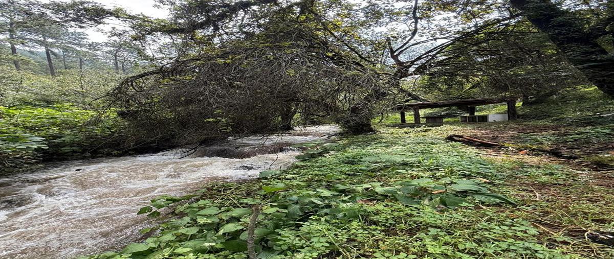 Foto de casa en venta en  , san bartolo, amanalco, méxico, 0 No. 04
