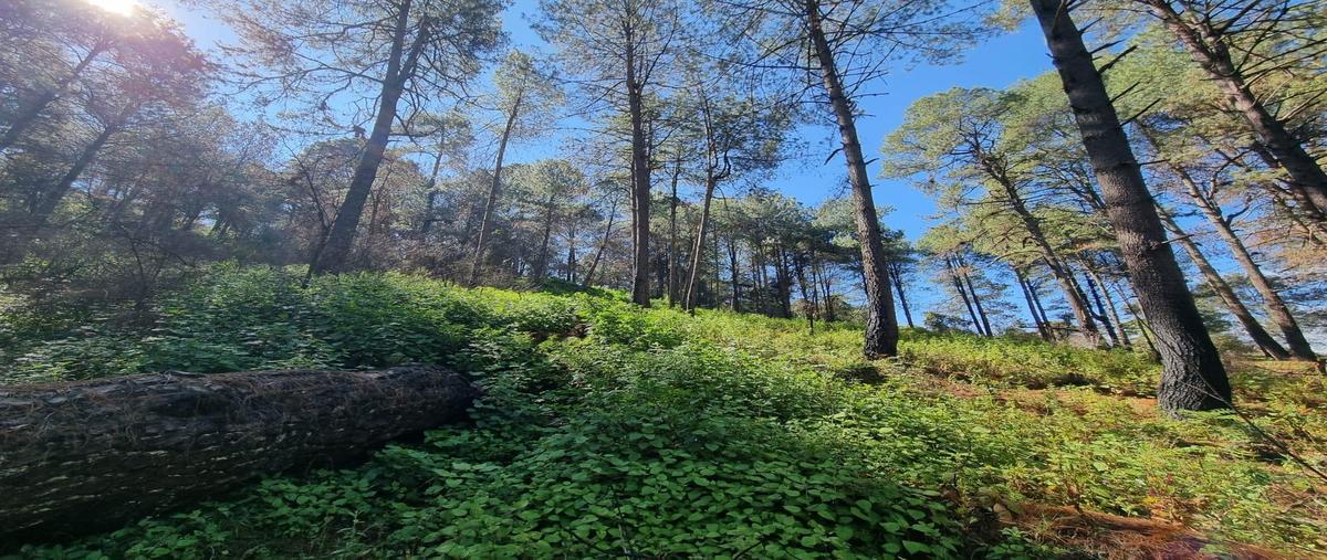 Foto de terreno habitacional en , san bartolo, amanalco, méxico, 0 foto 03 Foto de terreno habitacional en venta en , san bartolo, amanalco, méxico, 0 No. 03