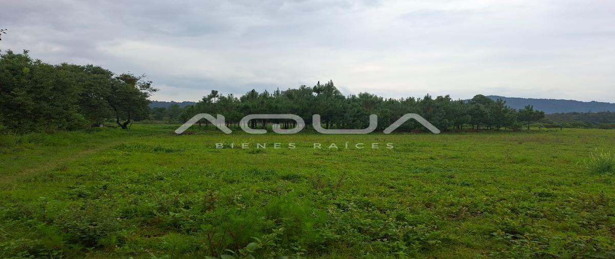 Foto de terreno habitacional en san bartolo amanalco , san bartolo, amanalco, méxico, 0 foto 01 Foto de terreno habitacional en venta en san bartolo amanalco , san bartolo, amanalco, méxico, 0 No. 01