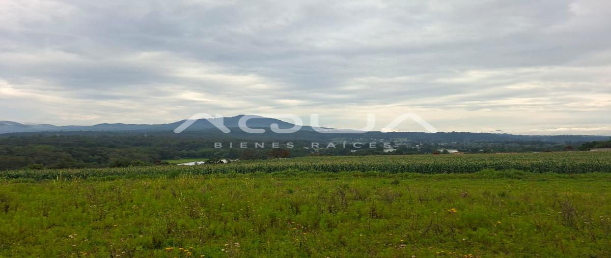 Foto de terreno habitacional en san bartolo amanalco , san bartolo, amanalco, méxico, 0 foto 02 Foto de terreno habitacional en venta en san bartolo amanalco , san bartolo, amanalco, méxico, 0 No. 02