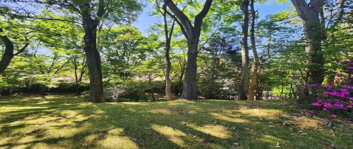 Foto de terreno habitacional en venta en  , san bartolo ameyalco, álvaro obregón, df / cdmx, 27806994 No. 03