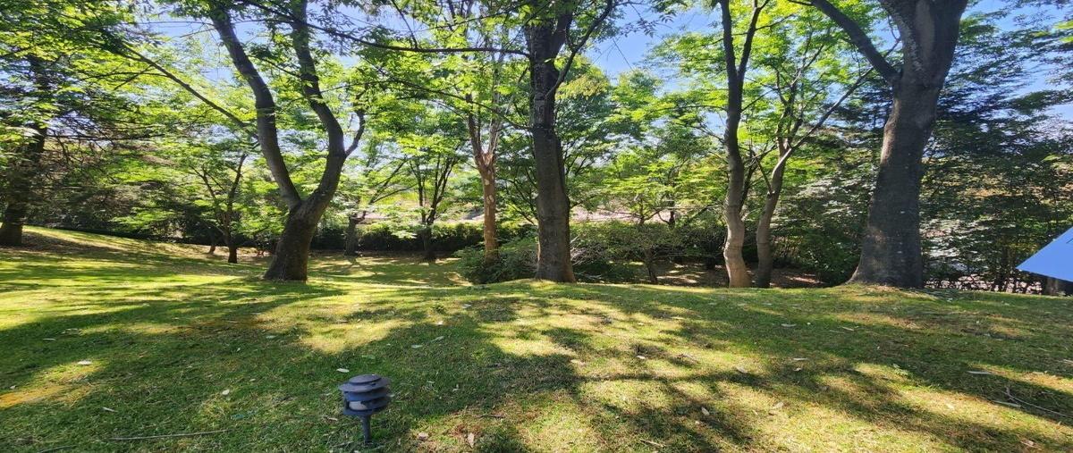 Foto de terreno habitacional en venta en  , san bartolo ameyalco, álvaro obregón, df / cdmx, 27806994 No. 05