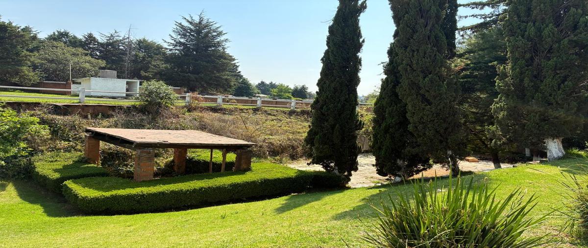 Foto de casa en venta en  , san bartolo ameyalco, álvaro obregón, df / cdmx, 0 No. 05