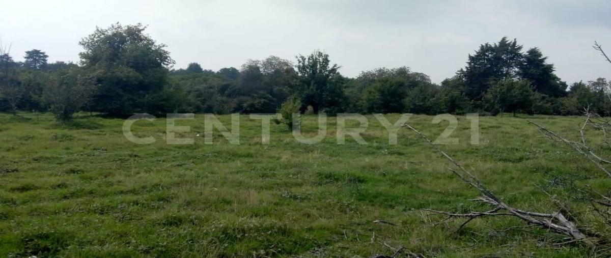 Foto de local en venta en  , san bartolo, atlautla, méxico, 0 No. 03