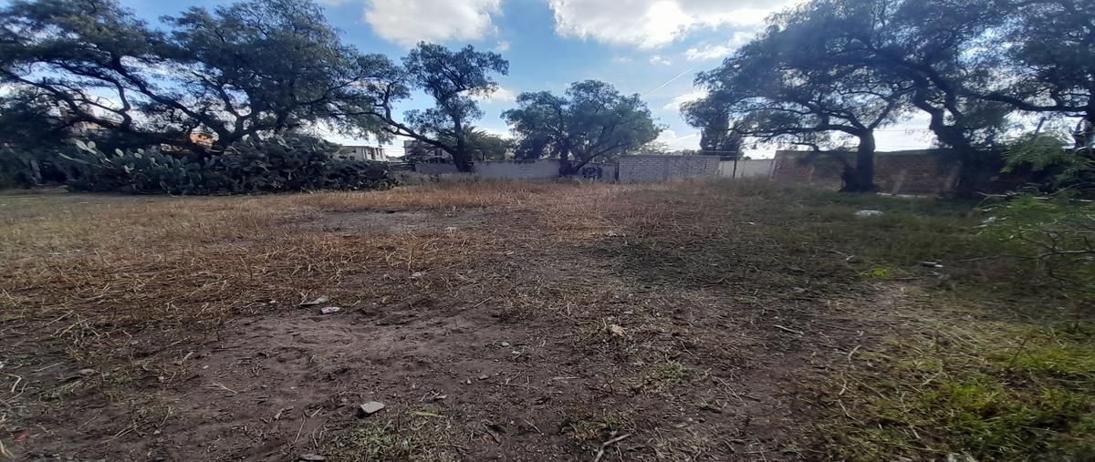 Foto de terreno habitacional en venta en  , san bartolo cuautlalpan, zumpango, méxico, 30047523 No. 04