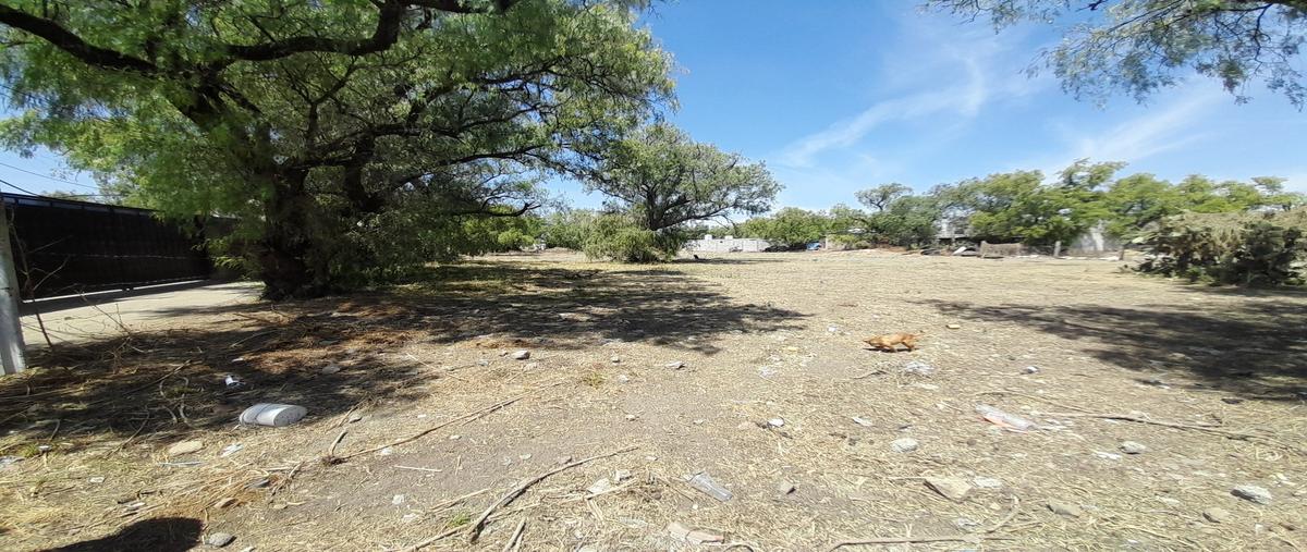 Foto de terreno habitacional en venta en  , san bartolo cuautlalpan, zumpango, méxico, 30047523 No. 05