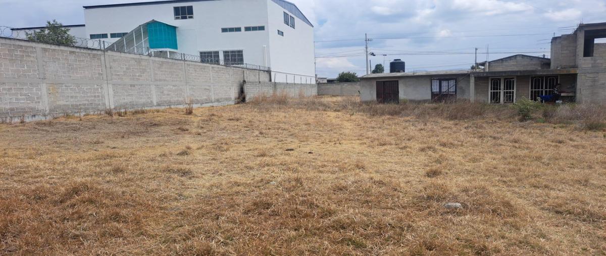 Foto de terreno habitacional en venta en  , san bartolo del llano, ixtlahuaca, méxico, 0 No. 04