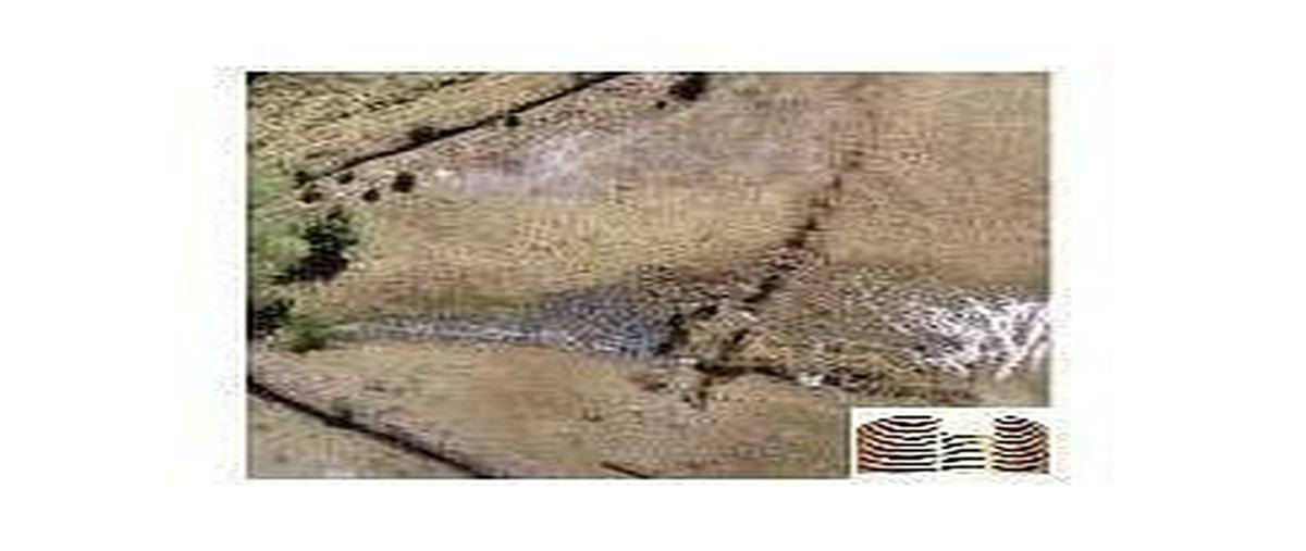 Foto de terreno habitacional en venta en  , san bartolo morelos, morelos, méxico, 0 No. 04