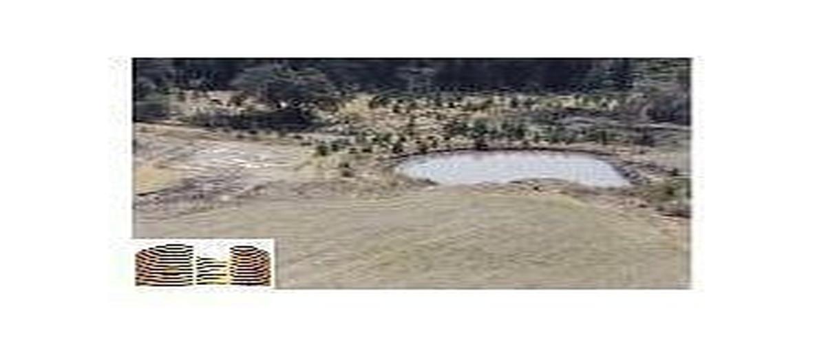 Foto de terreno habitacional en venta en  , san bartolo morelos, morelos, méxico, 0 No. 05