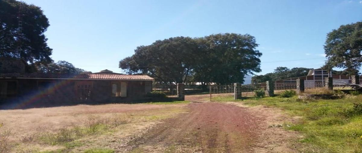 Foto de bodega en venta en san bartolo morelos , san bartolo morelos, morelos, méxico, 27702279 No. 03