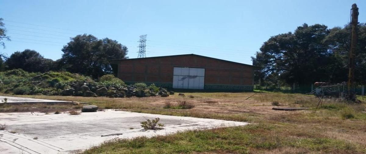 Foto de bodega en venta en san bartolo morelos , san bartolo morelos, morelos, méxico, 27702279 No. 05