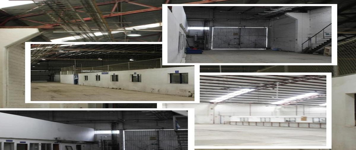 Foto de bodega en renta en  , san bartolo naucalpan (naucalpan centro), naucalpan de juárez, méxico, 30788514 No. 04