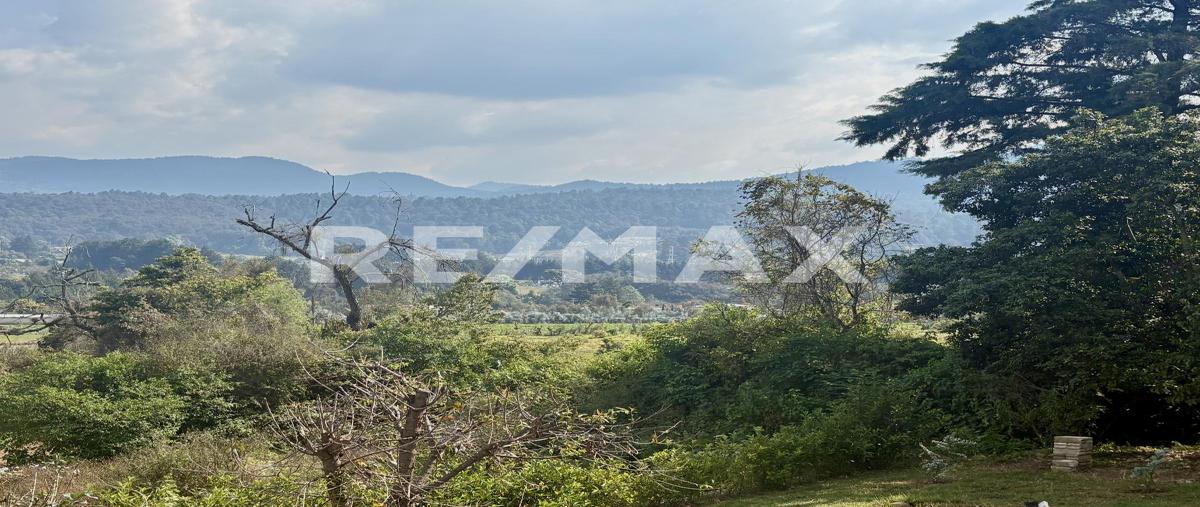 Foto de casa en renta en san bartolo , polvillos (san bartolo quinta sección), amanalco, méxico, 0 No. 04