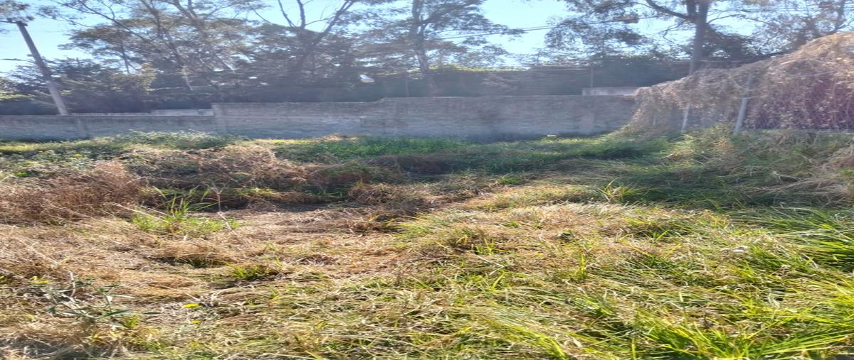 Foto de terreno industrial en venta en san bartolo , san bartolo ameyalco, álvaro obregón, df / cdmx, 30358591 No. 04