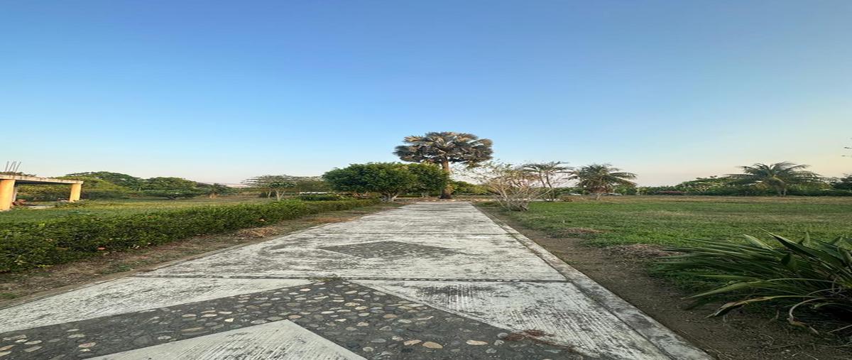 Foto de local en renta en  , san bartolo, san juan bautista tuxtepec, oaxaca, 0 No. 04