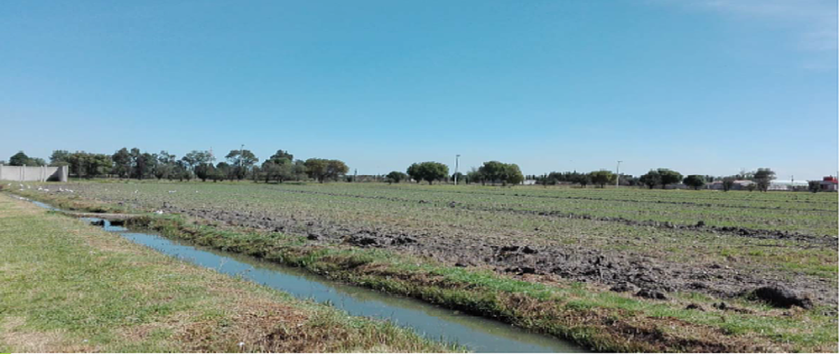 Foto de terreno comercial en venta en  , san bartolo, teoloyucan, méxico, 29085721 No. 04