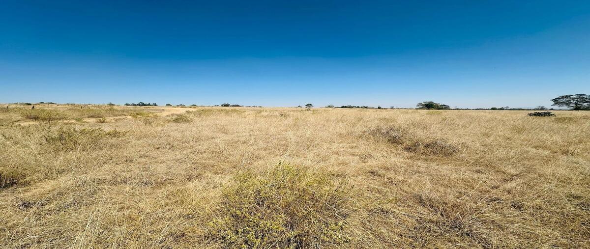 Foto de terreno habitacional en venta en  , san bartolomé del pino (san bartolo), amealco de bonfil, querétaro, 29723713 No. 04