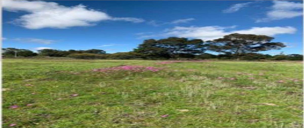 Foto de terreno habitacional en san bartolomé del pino (san bartolo), amealco de bonfil, querétaro, 76884 , san bartolomé del pino (san bartolo), amealco de bonfil, querétaro, 0 foto 01 Foto de terreno habitacional en venta en san bartolomé del pino (san bartolo), amealco de bonfil, querétaro, 76884 , san bartolomé del pino (san bartolo), amealco de bonfil, querétaro, 0 No. 01