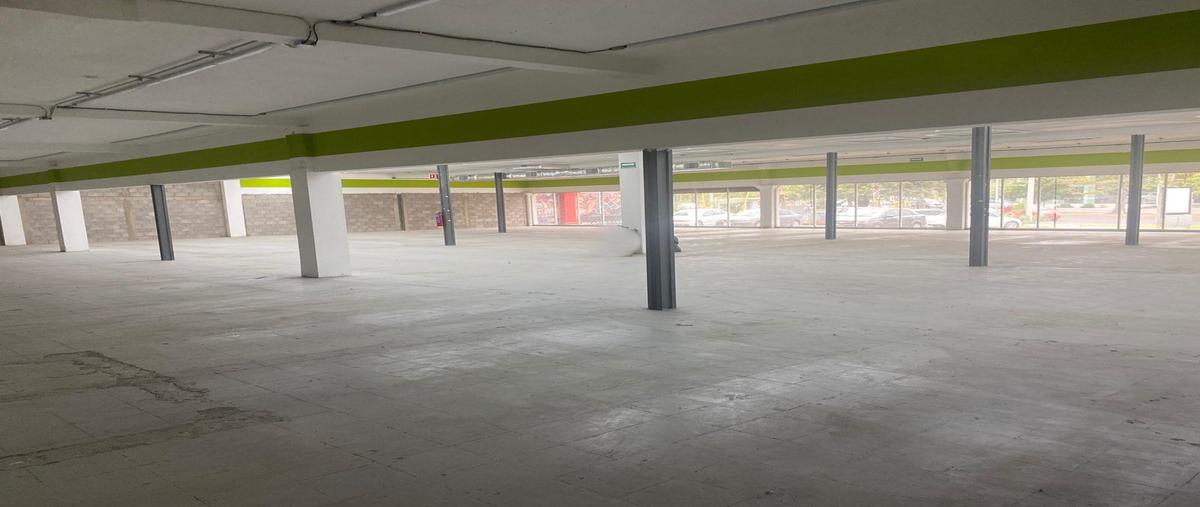 Foto de local en renta en  , san benito, hermosillo, sonora, 0 No. 03