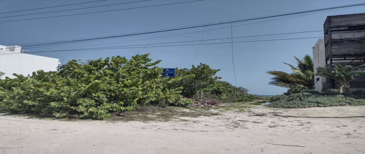Foto de terreno habitacional en , san benito, ixil, yucatán, 26755939 foto 02 Foto de terreno habitacional en venta en , san benito, ixil, yucatán, 26755939 No. 02