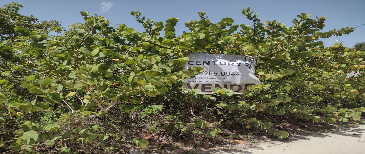 Foto de terreno habitacional en venta en  , san benito, ixil, yucatán, 26755939 No. 05