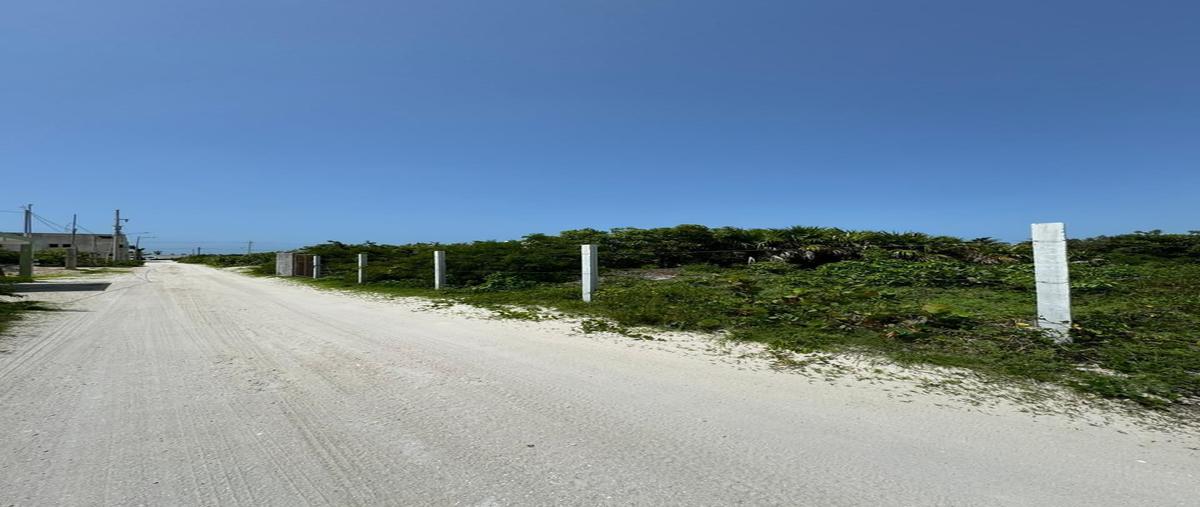 Foto de terreno habitacional en venta en san benito , san diego, dzemul, yucatán, 28210054 No. 04