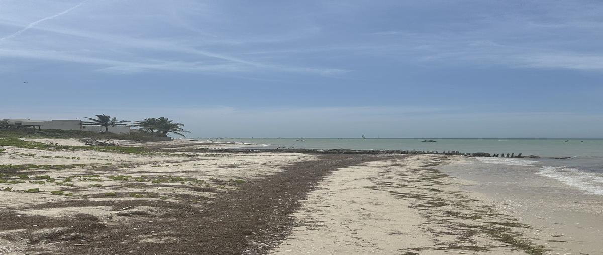Foto de terreno habitacional en venta en san benito , san diego, dzemul, yucatán, 0 No. 05