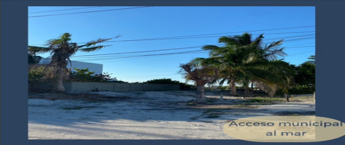 Foto de terreno comercial en venta en san benito , san diego, dzemul, yucatán, 0 No. 03