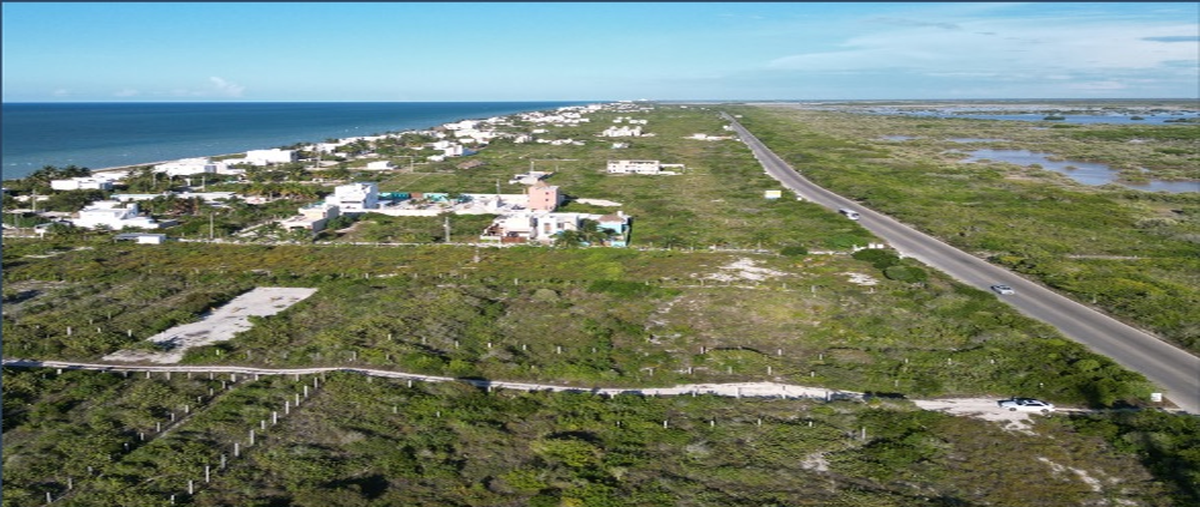 Foto de terreno comercial en venta en san benito , san diego, dzemul, yucatán, 0 No. 04