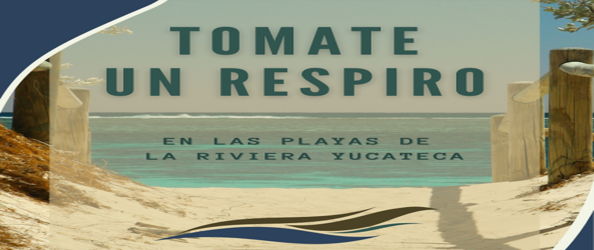 Foto de terreno comercial en venta en san benito , san diego, dzemul, yucatán, 0 No. 05