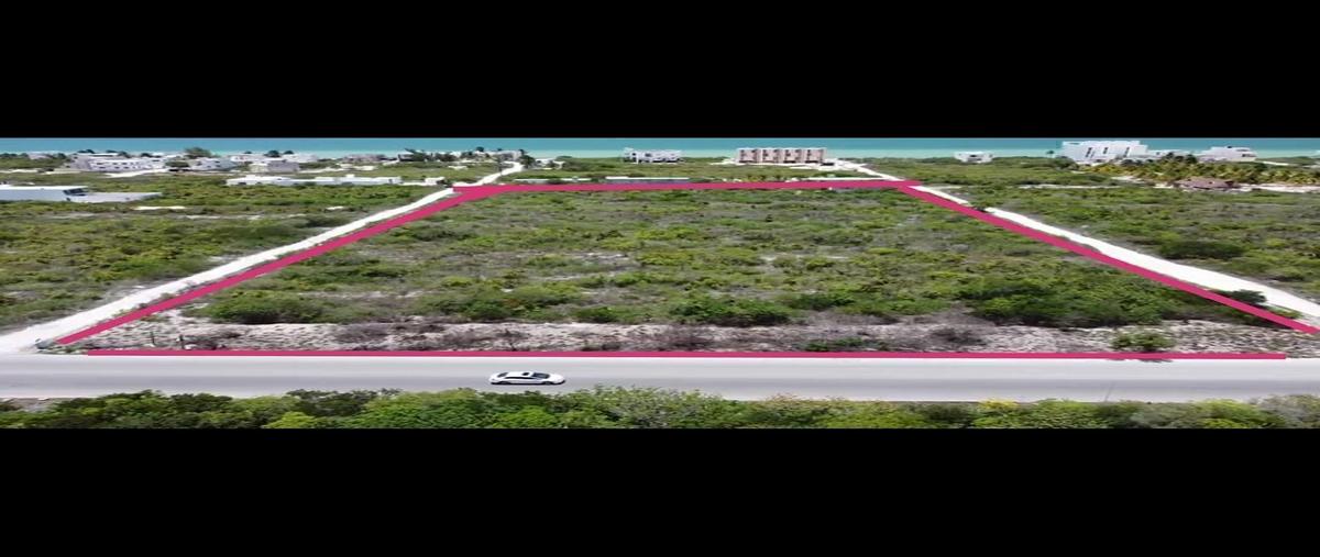 Foto de terreno habitacional en venta en san benito , san diego, dzemul, yucatán, 0 No. 04