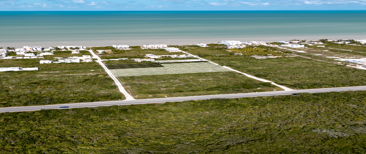 Foto de terreno habitacional en venta en  , san benito, ticul, yucatán, 0 No. 05