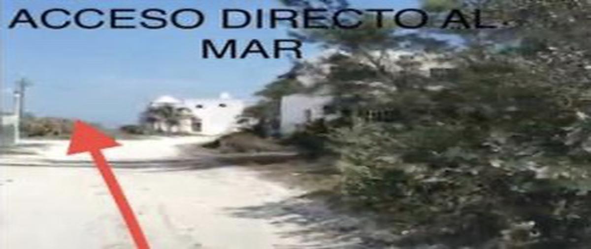 Foto de terreno habitacional en venta en san benito whi267898, dzemul, dzemul, yucatán, 24585563 No. 03