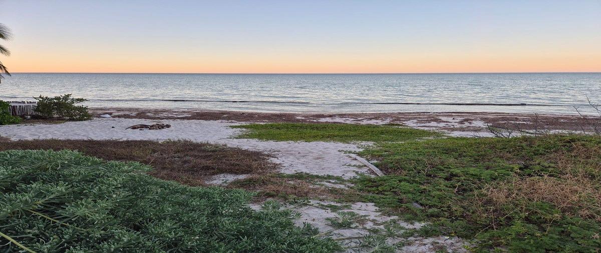 Foto de terreno habitacional en venta en san benitofrente al mar , san diego, dzemul, yucatán, 22776288 No. 03