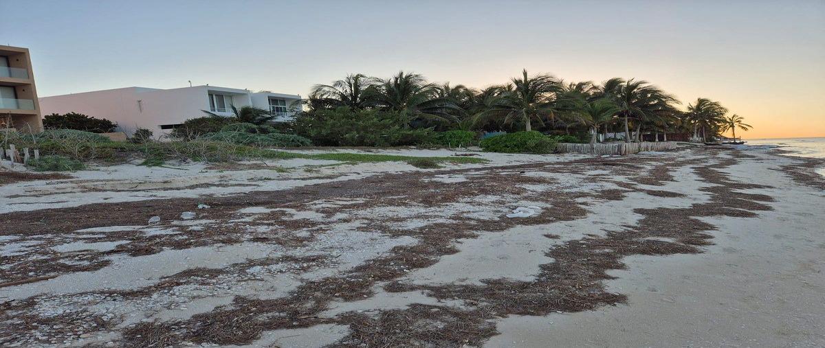 Foto de terreno habitacional en venta en san benitofrente al mar , san diego, dzemul, yucatán, 22776288 No. 05