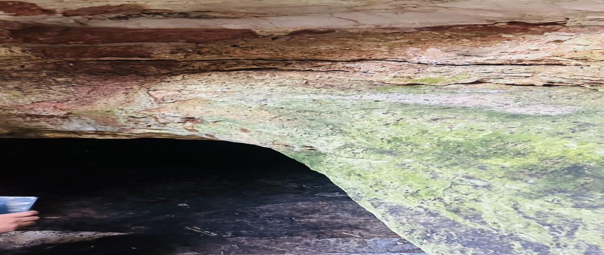 Foto de terreno habitacional en venta en  , san bernabe, peto, yucatán, 29517974 No. 04